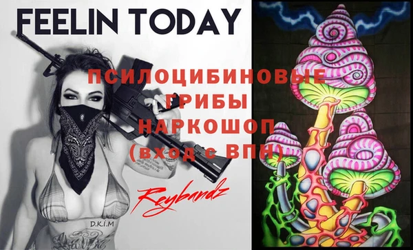 ECSTASY Лиски