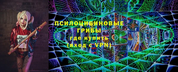 ECSTASY Лиски