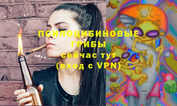 ECSTASY Лиски